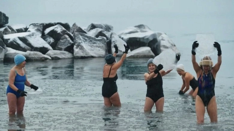 Menopause Mystery (2026)