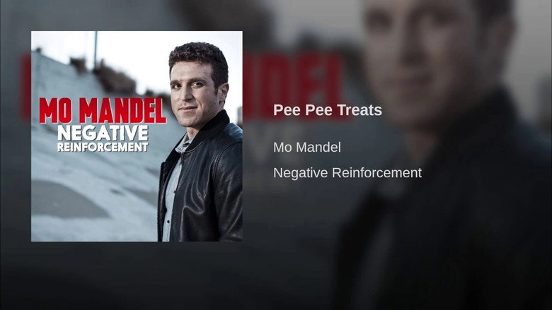 Mo Mandel: Negative Reinforcement (2016)
