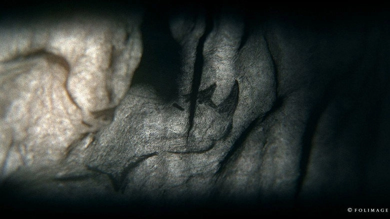 Camera Obscura (2015)
