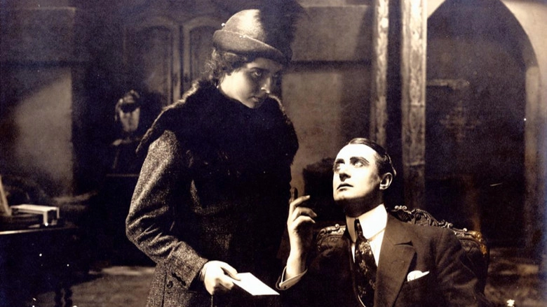 The Mysterious Lady (1917)