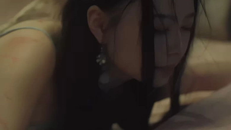 Chang'an Mystery (2019)