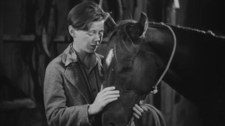 Two Thoroughbreds (1939)