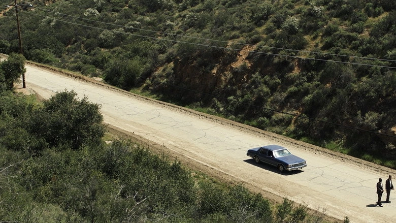 American Muscle (2026)