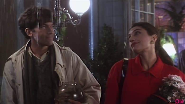 Una Mujer Bajo La Lluvia (1992)