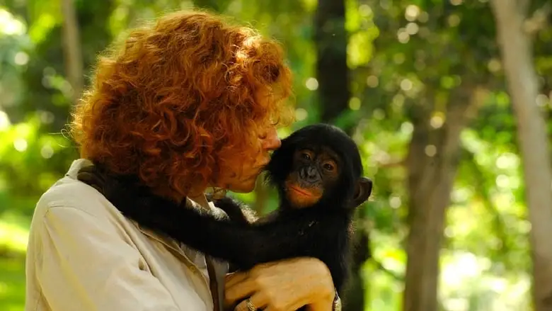 Bonobos: Back To The Wild (2011)