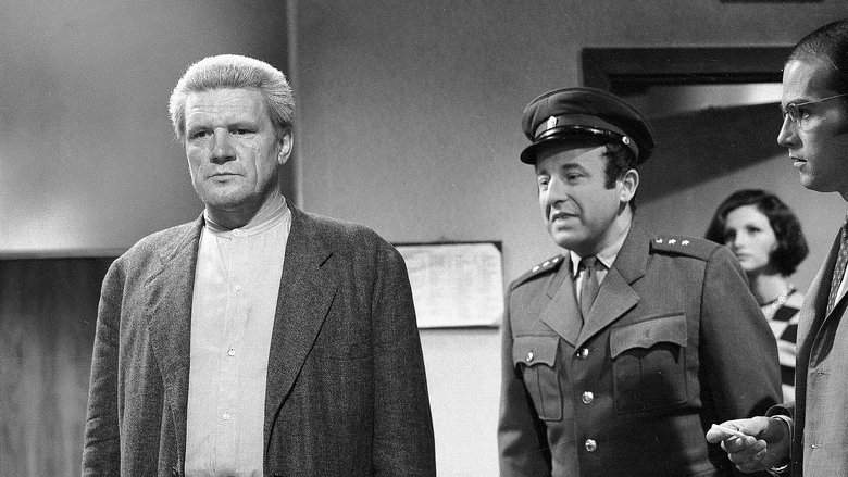 Dlouhé dopoledne (1991)