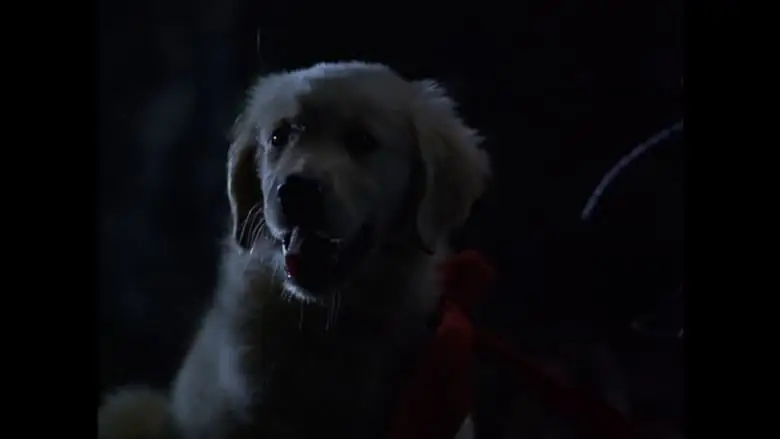 Napoleon (1995)