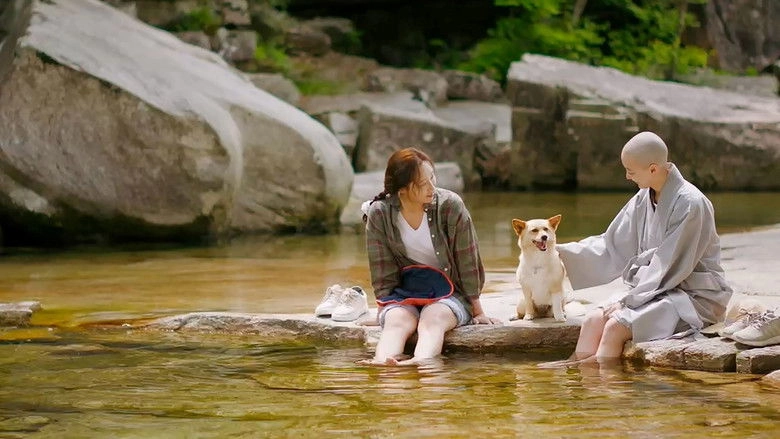 Mungyeong: More Than Roads (2024)