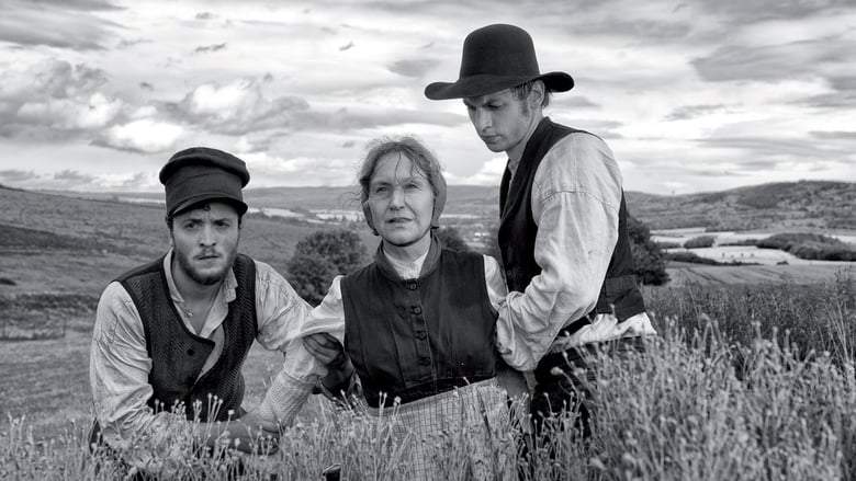 Home From Home: Chronicle Of A Vision (2013)