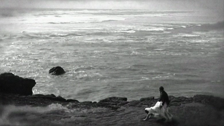 42 One Dream Rush (2010)