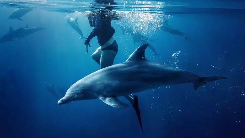 Saved From A Shark (2023)