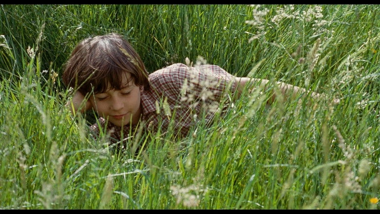 The Field Of Enchantment (2011)