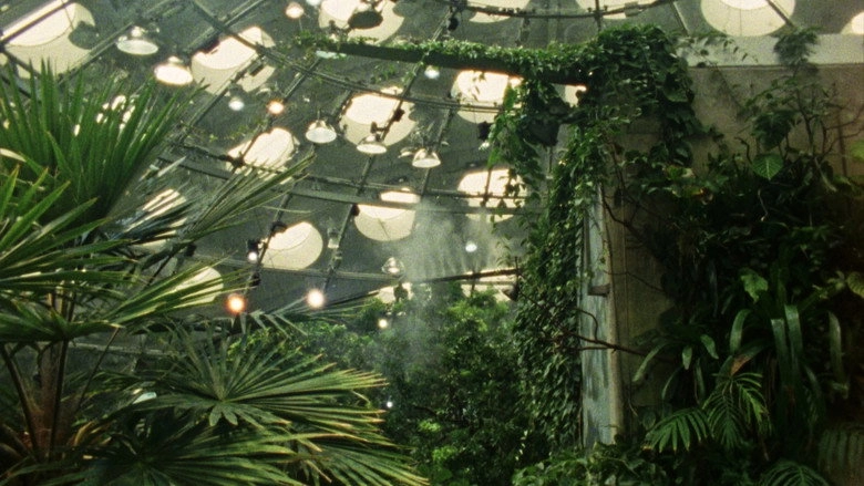 Tropical Fractals (2026)