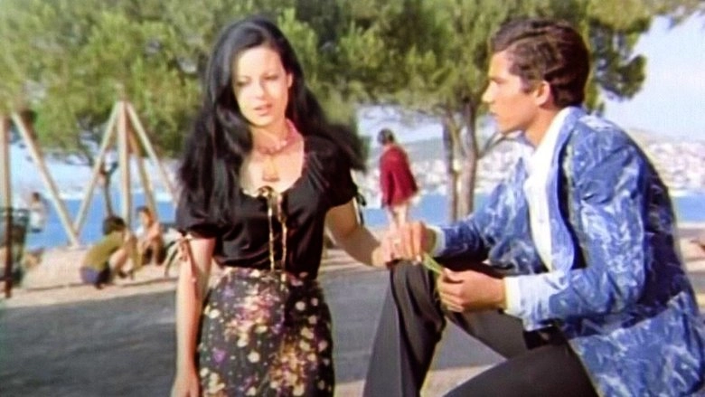 Hayat Sevince Guzel (1971)