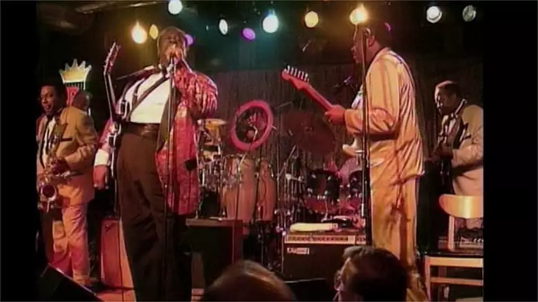 B.B. King: The Blues Summit (1995)