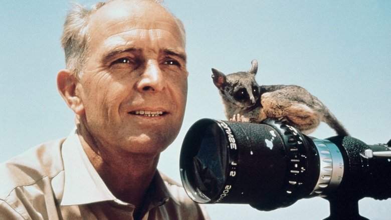 Serengeti (1959)
