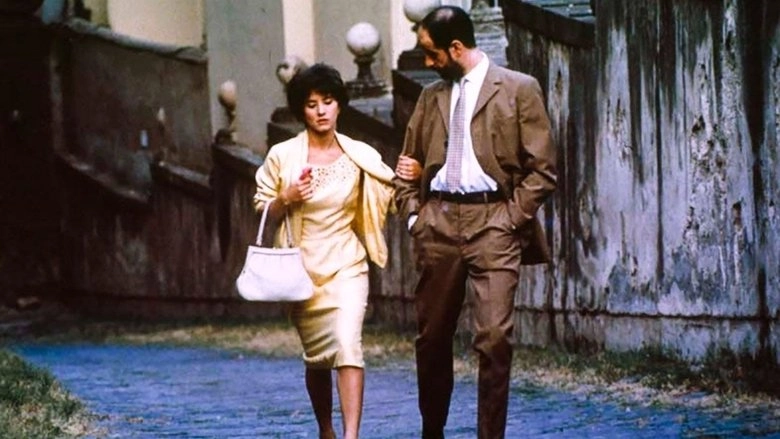 Death Of A Neapolitan Mathematician (1992)