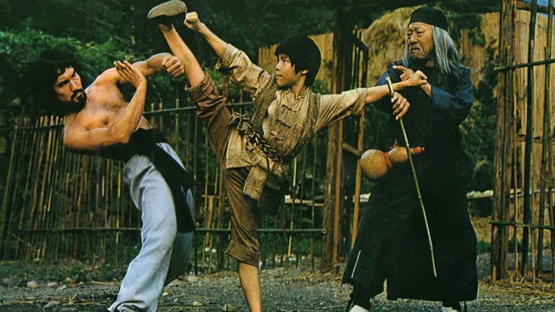 Sleeping Fist (1979)