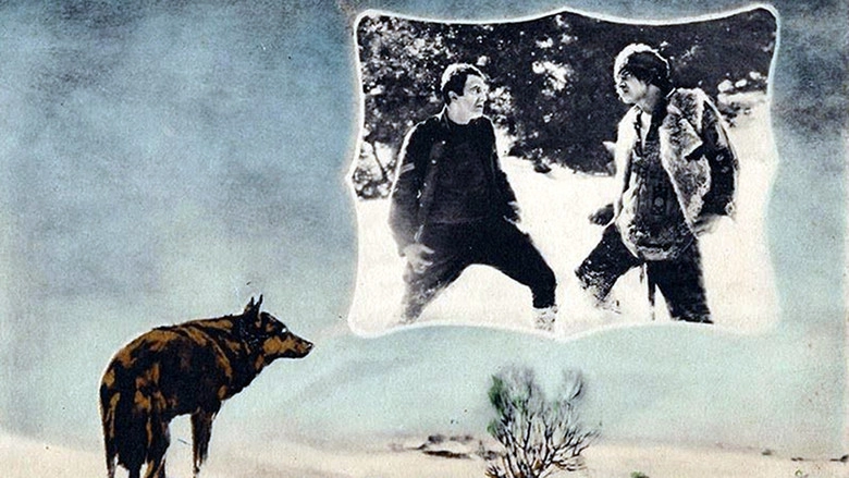 The Man From Hell's River (1922)