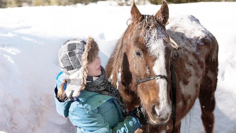 The Horses Of McBride (2012)