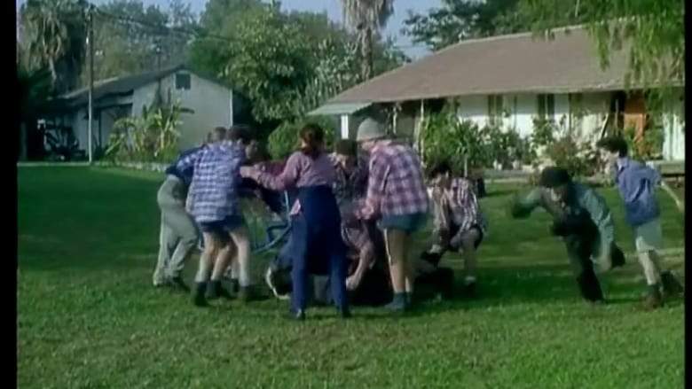 Newland (1994)