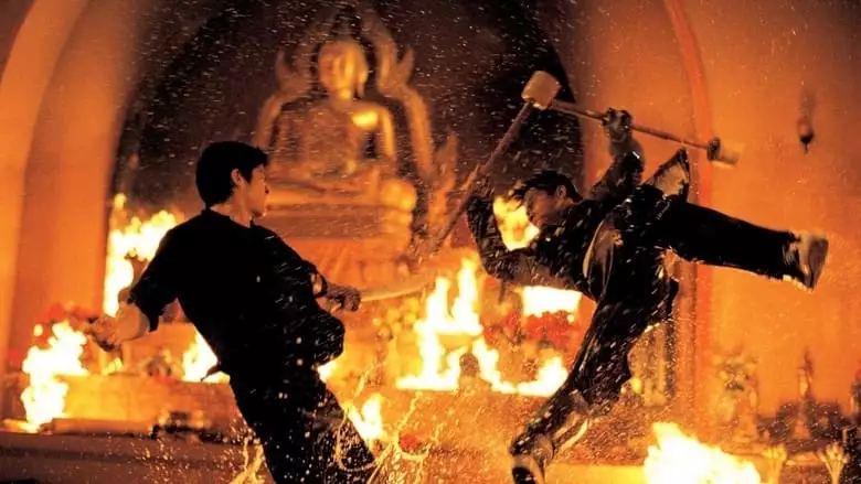The Protector (2005)
