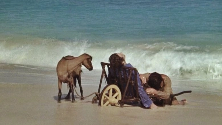 I Will Walk Like A Crazy Horse (1973)
