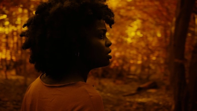 A Song From The Dark (2023)