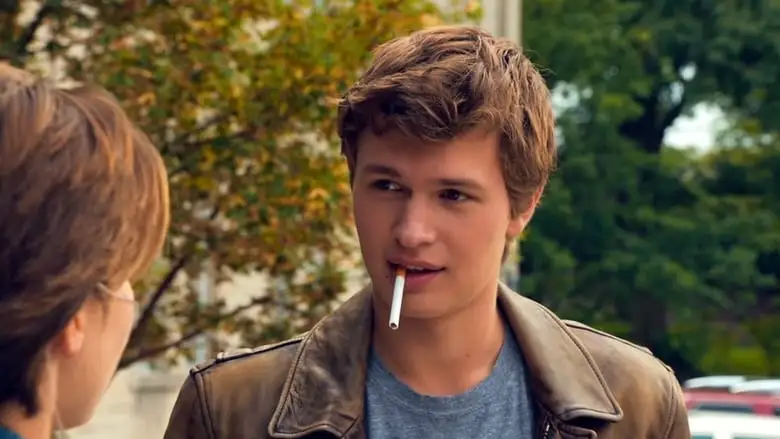 The Fault In Our Stars (2014)