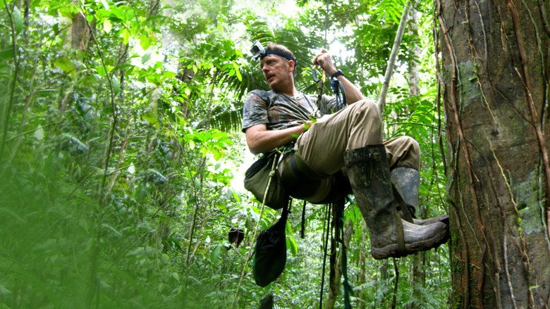 Winged Seduction: Birds Of Paradise (2012)