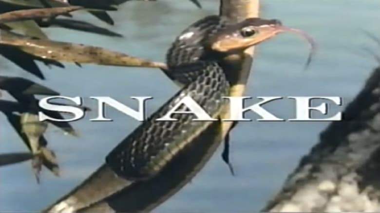 Predators Of The Wild: Snake (1993)