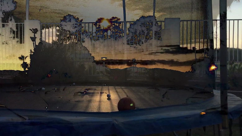 Hope This Goes Over Well/Living In An Empty World (2017)