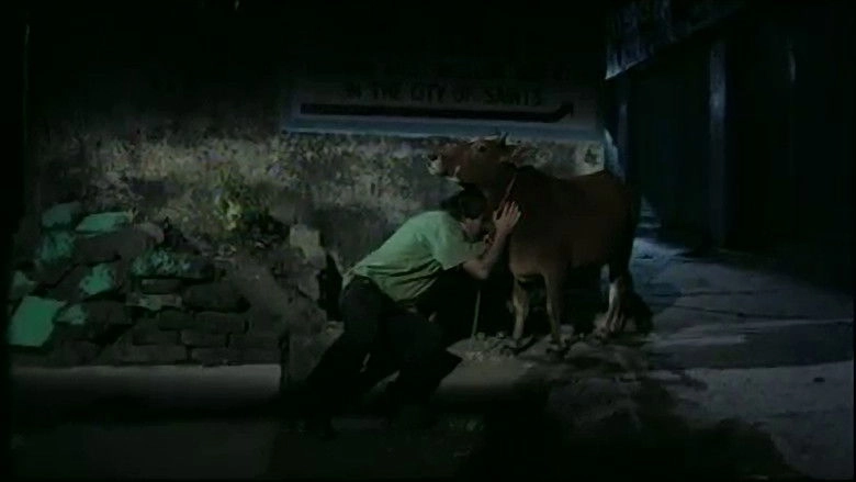 Letters From Rishikesh (2004)