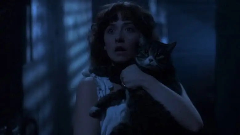 The Amityville Curse (1990)