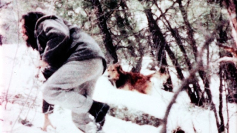 The Art Of Vision (1965)