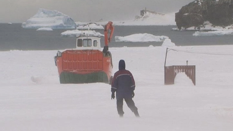 Wintering (2010)