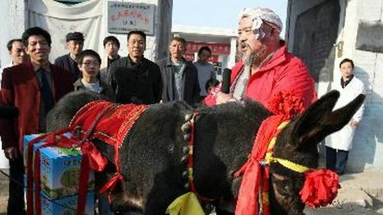Blowing Niu Sanniu (2008)