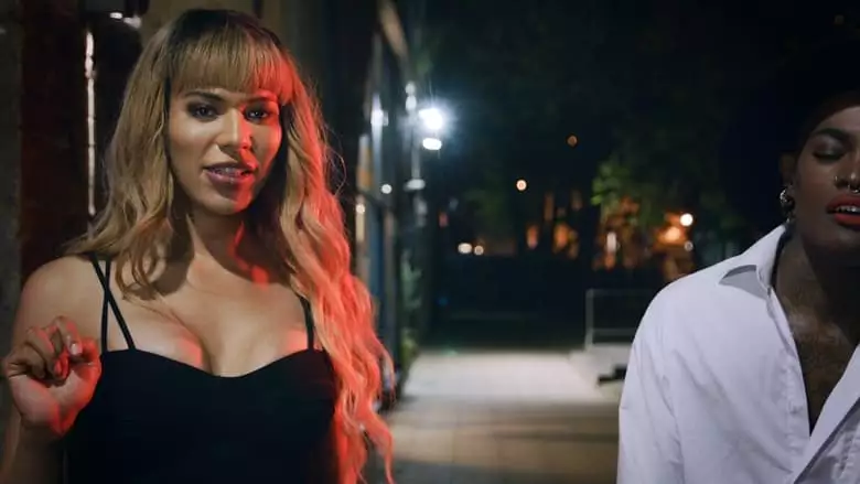 Almost Saw The Sunshine (2017)