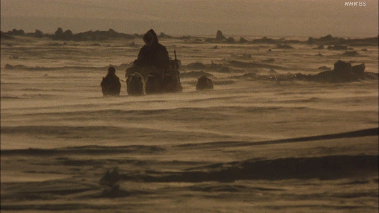 Lost In The Wilderness (1986)