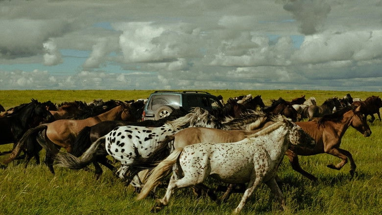 Striding Into The Wind (2021)