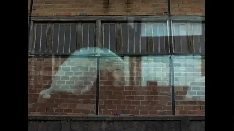 L'Homme Qui Danse (2004)
