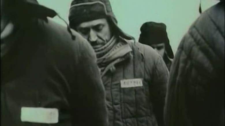 Vernyy Ruslan (Istoriya Karaulnoy Sobaki) (1992)