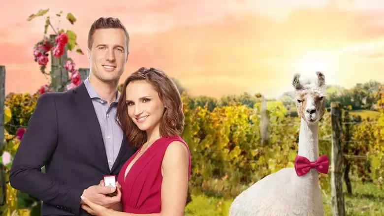 Valentine In The Vineyard (2019)