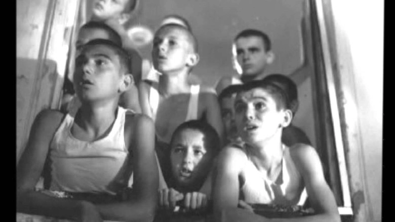 Lulekuqet Mbi Mure (1976)