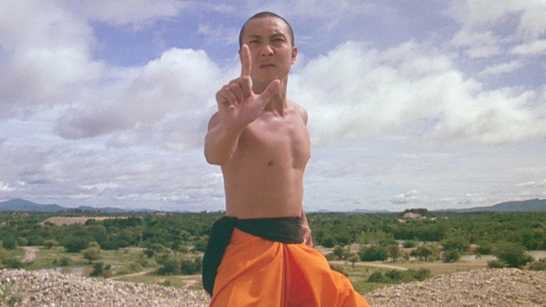 The Holy Man 2 (2008)