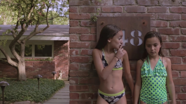 Sisters (2016)
