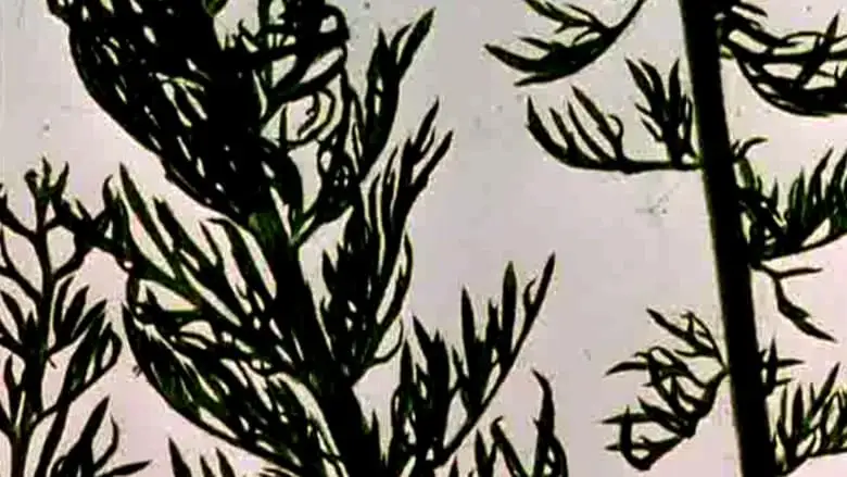 The Garden Of Earthly Delights (1981)