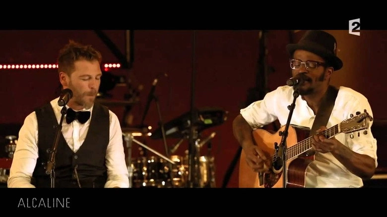Christophe Mae - Alcaline Le Concert (2013)