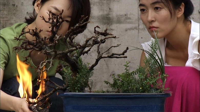 Anyang, Paradise City (2010)