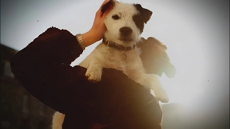 Double Cross: The True Story Of The D-day Spies (2012)